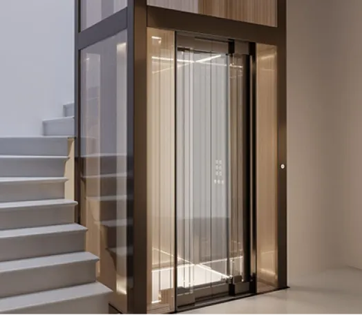 Mẫu thang máy mini cho nhà diện tích 100m2 (1) (1)